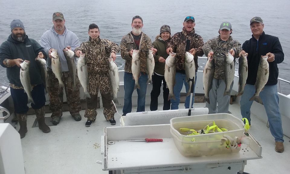 Black Friday Limit Of Chesapeake Bay Rockfish!